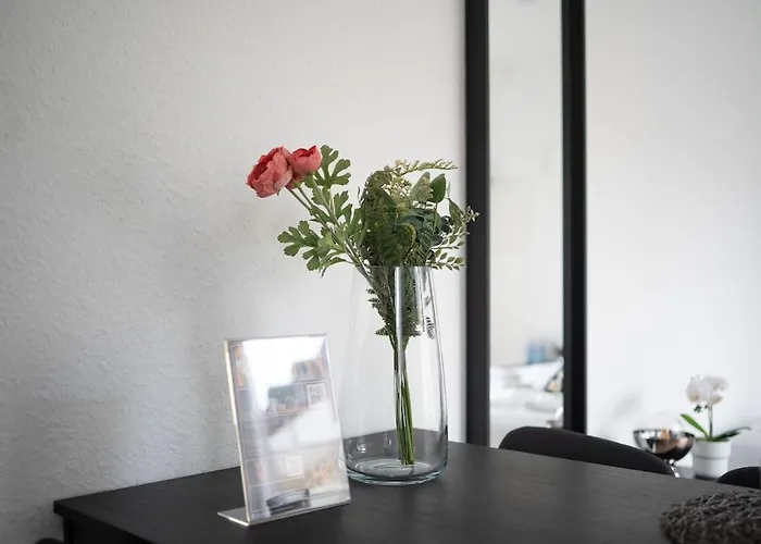 Modernes City-studio Universitaet Daire